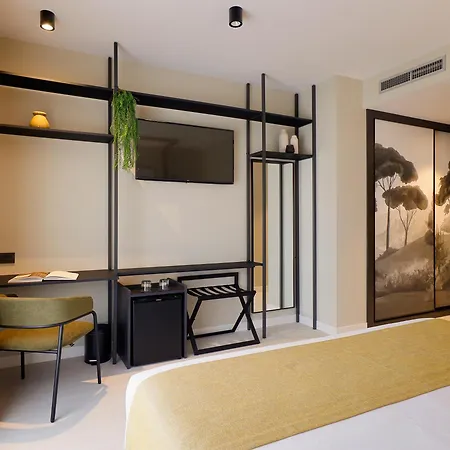 Nuvo Boutique Oviedo